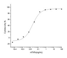TNF Alpha Protein - Measured in a cytotoxicity assay using L929 mouse fibrosarcoma cells in the presence of the metabolic inhibitor actinomycin D. The ED50 for this effect is typically 3-30 pg/mL.