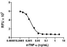 TNF Alpha Protein - Cytotoxic effect on L929 mouse fibroblast cells induced by mouse TNF-Î± in the presence of actinomycin D.