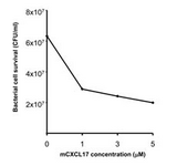 VCC-1 / CXCL17 Protein - Bactericidal activity of mouse CXCL17 against E.coli.