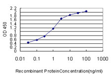 MPG Antibody - Detection limit for recombinant GST tagged MPG is approximately 0.03 ng/ml as a capture antibody.