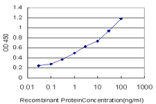 MPG Antibody - Detection limit for recombinant GST tagged MPG is approximately 0.03 ng/ml as a capture antibody.