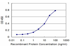 MPHOSPH6 Antibody - Detection limit for recombinant GST tagged MPHOSPH6 is approximately 1 ng/ml as a capture antibody.