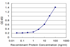 MPHOSPH9 Antibody - Detection limit for recombinant GST tagged MPHOSPH9 is approximately 1 ng/ml as a capture antibody.