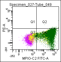 MPO / Myeloperoxidase Antibody - Flow cytometric analysis of a normal blood sample after immunostaining with MPO / Myeloperoxidase (MPO-C2-FITC)