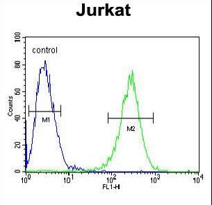 MPP1 Antibody - MPP1 Antibody flow cytometry of Jurkat cells (right histogram) compared to a negative control cell (left histogram). FITC-conjugated goat-anti-rabbit secondary antibodies were used for the analysis.