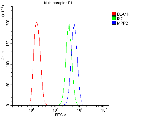 MPP2 Antibody - Flow Cytometry analysis of A431 cells using anti-MPP2 antibody. Overlay histogram showing A431 cells stained with anti-MPP2 antibody (Blue line). The cells were blocked with 10% normal goat serum. And then incubated with rabbit anti-MPP2 Antibody (1µg/10E6 cells) for 30 min at 20°C. DyLight®488 conjugated goat anti-rabbit IgG (5-10µg/10E6 cells) was used as secondary antibody for 30 minutes at 20°C. Isotype control antibody (Green line) was rabbit IgG (1µg/10E6 cells) used under the same conditions. Unlabelled sample (Red line) was also used as a control.
