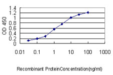 MPP3 Antibody - Detection limit for recombinant GST tagged MPP3 is approximately 0.03 ng/ml as a capture antibody.