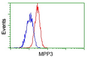MPP3 Antibody - Flow cytometry of Jurkat cells, using anti-MPP3 antibody, (Red), compared to a nonspecific negative control antibody, (Blue).