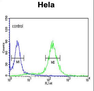MPST Antibody - MPST Antibody flow cytometry of HeLa cells (right histogram) compared to a negative control cell (left histogram). FITC-conjugated goat-anti-rabbit secondary antibodies were used for the analysis.