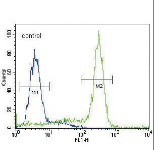 MPST Antibody - MPST Antibody flow cytometry of HepG2 cells (right histogram) compared to a negative control cell (left histogram). FITC-conjugated goat-anti-rabbit secondary antibodies were used for the analysis.