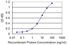 MPST Antibody - Detection limit for recombinant GST tagged MPST is 0.1 ng/ml as a capture antibody.