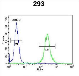 MRAP Antibody - MRAP Antibody flow cytometry of 293 cells (right histogram) compared to a negative control cell (left histogram). FITC-conjugated goat-anti-rabbit secondary antibodies were used for the analysis.