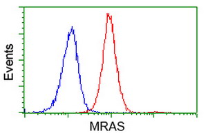 MRAS Antibody - Flow cytometry of Jurkat cells, using anti-MRAS antibody (Red), compared to a nonspecific negative control antibody (Blue).