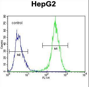 MRFAP1L1 Antibody - MRFAP1L1 Antibody flow cytometry of HepG2 cells (right histogram) compared to a negative control cell (left histogram). FITC-conjugated goat-anti-rabbit secondary antibodies were used for the analysis.