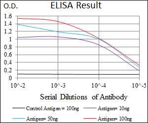 MRPL42 / MRPS32 Antibody - Red: Control Antigen (100ng); Purple: Antigen (10ng); Green: Antigen (50ng); Blue: Antigen (100ng);