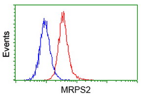 MRPS2 Antibody - Flow cytometry of HeLa cells, using anti-MRPS2 antibody (Red), compared to a nonspecific negative control antibody (Blue).