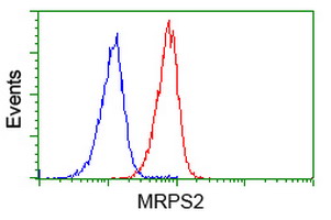 MRPS2 Antibody - Flow cytometry of Jurkat cells, using anti-MRPS2 antibody (Red), compared to a nonspecific negative control antibody (Blue).