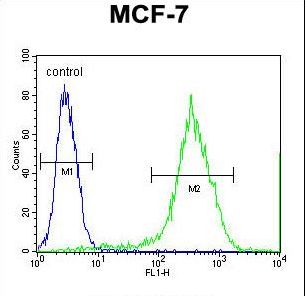 MRPS33 Antibody - RT33 Antibody flow cytometry of MCF-7 cells (right histogram) compared to a negative control cell (left histogram). FITC-conjugated goat-anti-rabbit secondary antibodies were used for the analysis.