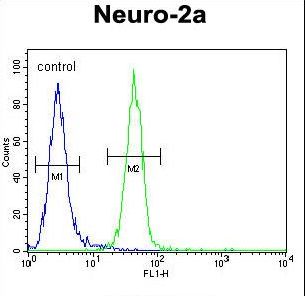MRPS34 Antibody - RT34 Antibody flow cytometry of Neuro-2a cells (right histogram) compared to a negative control cell (left histogram). FITC-conjugated goat-anti-rabbit secondary antibodies were used for the analysis.