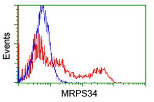 MRPS34 Antibody - HEK293T cells transfected with either overexpress plasmid (Red) or empty vector control plasmid (Blue) were immunostained by anti-MRPS34 antibody, and then analyzed by flow cytometry.