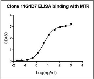 MS / MTR Antibody - ELISA binding of Human MTR Antibody (11G1D7) with Human MTR recombinant protein. Coating antigen: MTR, 1 µg/ml. MTR antibody dilution start from 1000 ng/ml, EC50= 4.326 ng/ml.