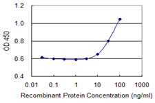 MSH2 Antibody - Detection limit for recombinant GST tagged MSH2 is 3 ng/ml as a capture antibody.