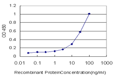 MSH6 Antibody - Detection limit for recombinant GST tagged MSH6 is approximately 1 ng/ml as a capture antibody.