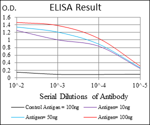 MSH6 Antibody - Red: Control Antigen (100ng); Purple: Antigen (10ng); Green: Antigen (50ng); Blue: Antigen (100ng);