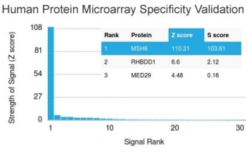 MSH6 Antibody - Analysis of HuProt(TM) microarray containing more than 19,000 full-length human proteins using MSH6 antibody. These results demonstrate the foremost specificity of the MSH6/3085 mAb. Z- and S- score: The Z-score represents the strength of a signal that an antibody (in combination with a fluorescently-tagged anti-IgG secondary Ab) produces when binding to a particular protein on the HuProt(TM) array. Z-scores are described in units of standard deviations (SD's) above the mean value of all signals generated on that array. If the targets on the HuProt(TM) are arranged in descending order of the Z-score, the S-score is the difference (also in units of SD's) between the Z-scores. The S-score therefore represents the relative target specificity of an Ab to its intended target.