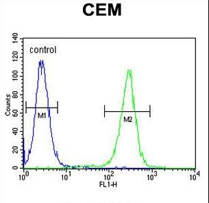 MSI1 / Musashi 1 Antibody - MSI1 Antibody flow cytometry of CEM cells (right histogram) compared to a negative control cell (left histogram). FITC-conjugated goat-anti-rabbit secondary antibodies were used for the analysis.