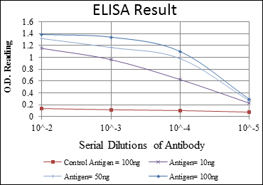 MSI1 / Musashi 1 Antibody - Red: Control Antigen (100ng); Purple: Antigen (10ng); Green: Antigen (50ng); Blue: Antigen (100ng);