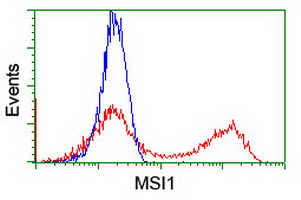 MSI1 / Musashi 1 Antibody - HEK293T cells transfected with either overexpress plasmid (Red) or empty vector control plasmid (Blue) were immunostained by anti-MSI1 antibody, and then analyzed by flow cytometry.