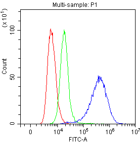 MSLN / Mesothelin Antibody - Flow Cytometry analysis of SiHa cells using anti-Mesothelin antibody. Overlay histogram showing SiHa cells stained with anti-Mesothelin antibody (Blue line). Mesothelin cells were blocked with 10% normal goat serum. And then incubated with rabbit anti-Mesothelin Antibody (1µg/10E6 cells) for 30 min at 20°C. DyLight®488 conjugated goat anti-rabbit IgG (5-10µg/10E6 cells) was used as secondary antibody for 30 minutes at 20°C. Isotype control antibody (Green line) was rabbit IgG (1µg/10E6 cells) used under the same conditions. Unlabelled sample (Red line) was also used as a control.
