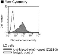 MSLN / Mesothelin Antibody