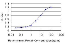 MSR1 / CD204 Antibody - Detection limit for recombinant GST tagged MSR1 is approximately 0.3 ng/ml as a capture antibody.