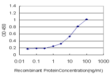 MST1R / RON Antibody - Detection limit for recombinant GST tagged MST1R is approximately 1 ng/ml as a capture antibody.