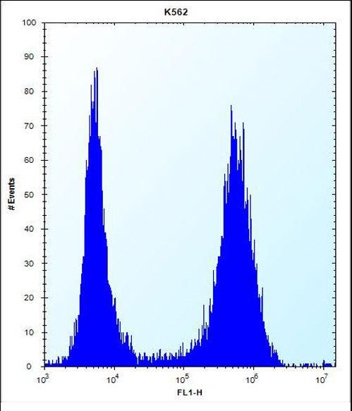 MT-ND3 Antibody - ND3 Antibody flow cytometry of K562 cells (right histogram) compared to a negative control cell (left histogram). FITC-conjugated donkey-anti-rabbit secondary antibodies were used for the analysis.