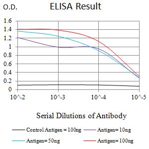 MTA1 Antibody - Black line: Control Antigen (100 ng);Purple line: Antigen (10ng); Blue line: Antigen (50 ng); Red line:Antigen (100 ng)