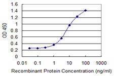 MTCP1 Antibody - Detection limit for recombinant GST tagged MTCP1 is 0.1 ng/ml as a capture antibody.