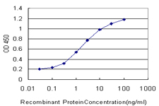 MTF-1 Antibody - Detection limit for recombinant GST tagged MTF1 is approximately 0.3 ng/ml as a capture antibody.