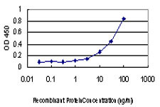 MTOR Antibody - Detection limit for recombinant GST tagged MTOR is approximately 3 ng/ml as a capture antibody.
