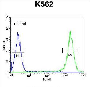 MtTFA / TFAM Antibody - TFAM Antibody flow cytometry of K562 cells (right histogram) compared to a negative control cell (left histogram). FITC-conjugated goat-anti-rabbit secondary antibodies were used for the analysis.