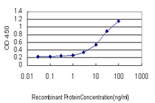 MUC4 Antibody - Detection limit for recombinant GST tagged MUC4 is approximately 0.3 ng/ml as a capture antibody.