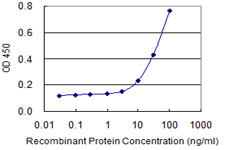 MUC5AC Antibody - Detection limit for recombinant GST tagged MUC5AC is 0.3 ng/ml as a capture antibody.