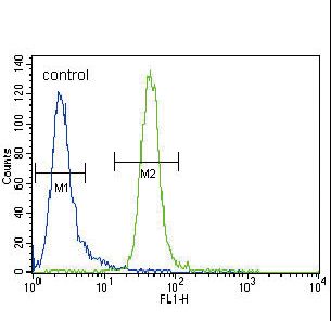MUSK Antibody - MUSK Antibody flow cytometry of CEM cells (right histogram) compared to a negative control cell (left histogram). FITC-conjugated goat-anti-rabbit secondary antibodies were used for the analysis.