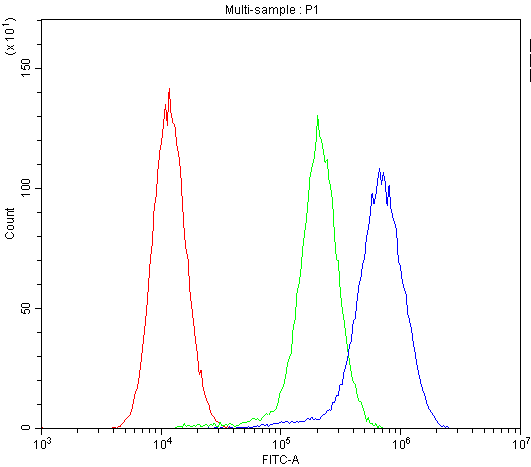 MVP / VAULT1 Antibody - Flow Cytometry analysis of U-87 cells using anti-MVP antibody. Overlay histogram showing U-87 cells stained with anti-MVP antibody (Blue line). The cells were blocked with 10% normal goat serum. And then incubated with rabbit anti-MVP Antibody (1µg/1x106 cells) for 30 min at 20°C. DyLight®488 conjugated goat anti-rabbit IgG (5-10µg/1x106 cells) was used as secondary antibody for 30 minutes at 20°C. Isotype control antibody (Green line) was rabbit IgG (1µg/1x106) used under the same conditions. Unlabelled sample (Red line) was also used as a control.