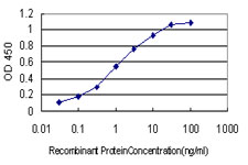 MYBPH Antibody - Detection limit for recombinant GST tagged MYBPH is approximately 0.03 ng/ml as a capture antibody.