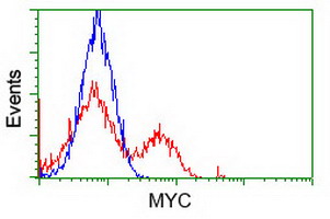 MYC / c-Myc Antibody - HEK293T cells transfected with either overexpress plasmid (Red) or empty vector control plasmid (Blue) were immunostained by anti-MYC antibody, and then analyzed by flow cytometry.
