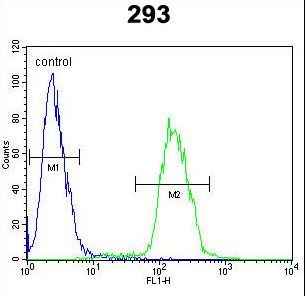 MYC / c-Myc Antibody - MYC-pS62 Antibody flow cytometry of 293 cells (right histogram) compared to a negative control cell (left histogram). FITC-conjugated goat-anti-rabbit secondary antibodies were used for the analysis.