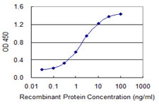 MYCBP Antibody - Detection limit for recombinant GST tagged MYCBP is 0.03 ng/ml as a capture antibody.